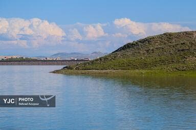 تصویر 8