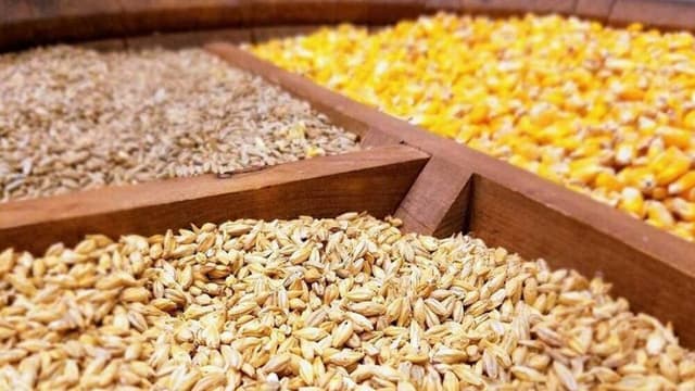 ذخایر نهاده دامی مطلوب است/ نگرانی بابت تامین نهاده دامی برطرف شد