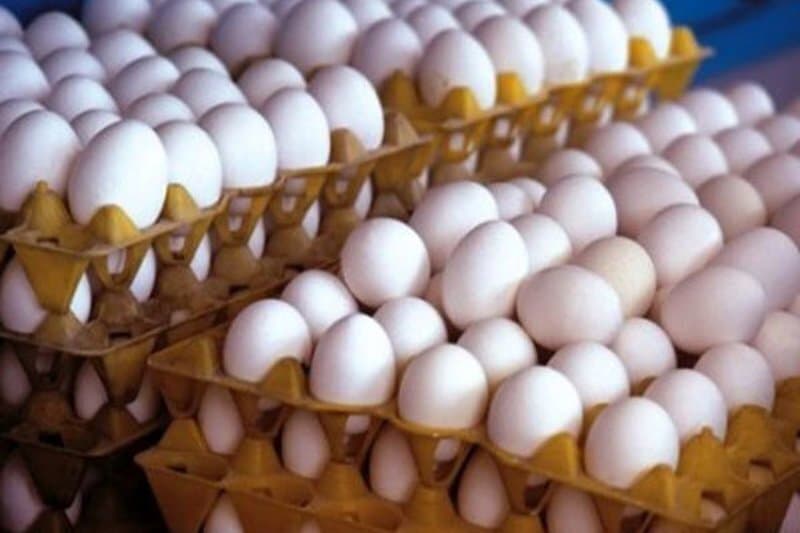 در بازار تخم مرغ چه می‌گذرد؟ / قیمت تخم مرغ افزایشی شد