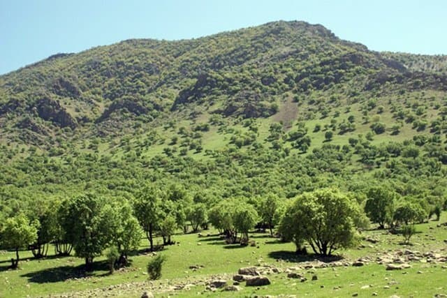 تصویر 1