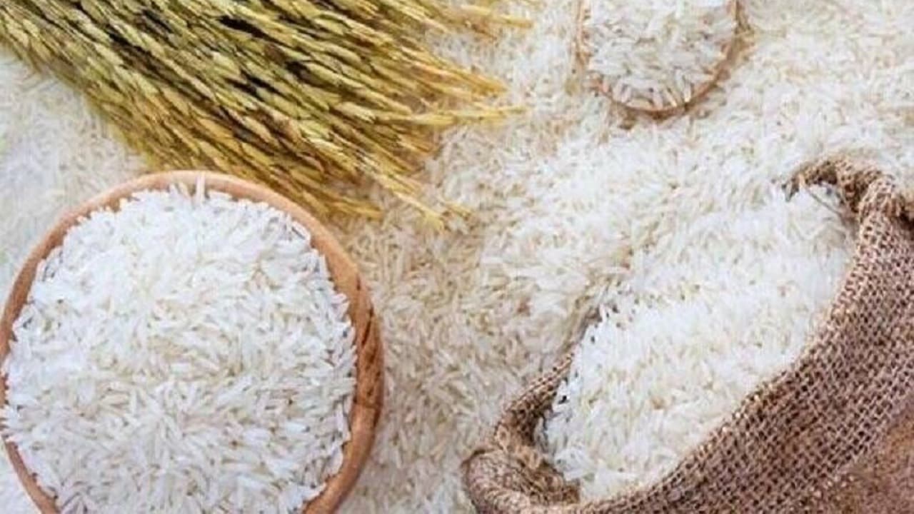 ۵۰۰ هزار تن برنج در انبار‌ها موجود است/ تولید برنج به یک میلیون و ۹۰۰ هزار تن می‌رسد