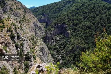 تصویر 1