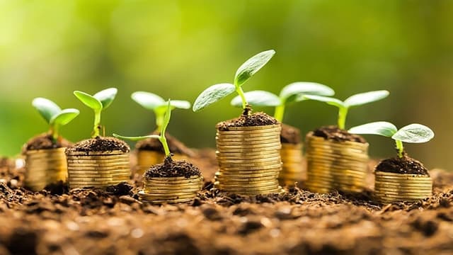 تسریع در پرداخت غرامت کشاورزان گامی در حمایت از کشاورزی