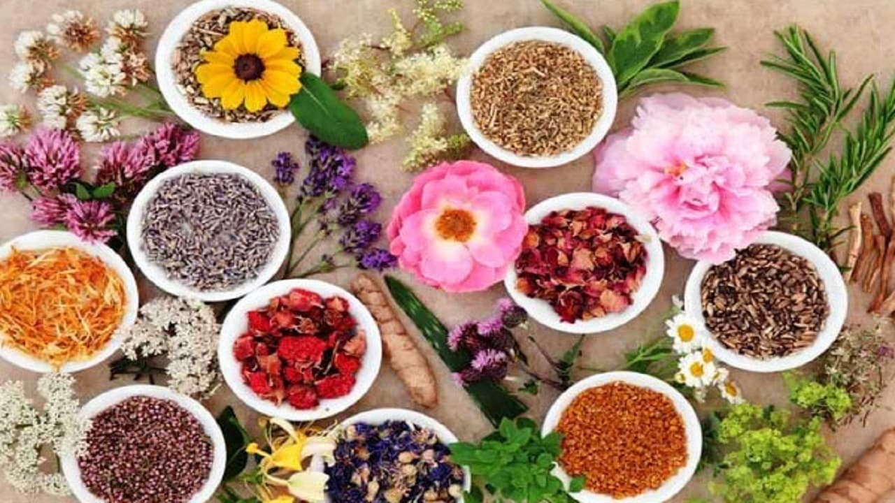 صادرات ۲۹ هزار تن گیاهان دارویی به اتحادیه اروپا