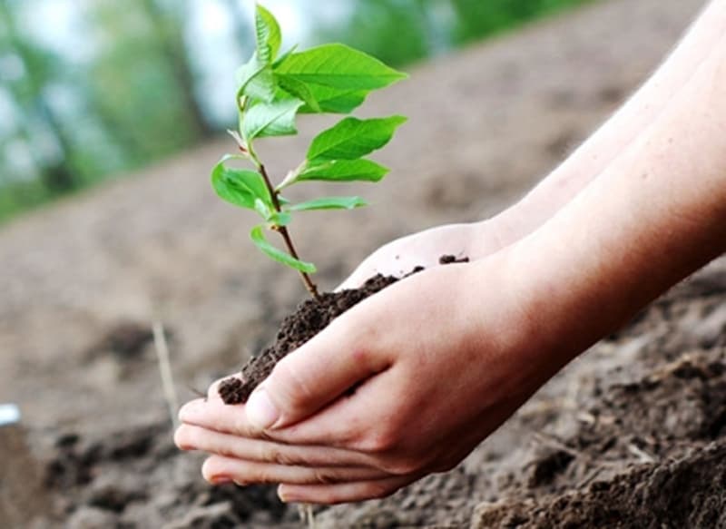 استفاده از ظرفیت بخش خصوصی برای حفاظت و احیای ۱۳۵ میلیون هکتار عرصه منابع طبیعی