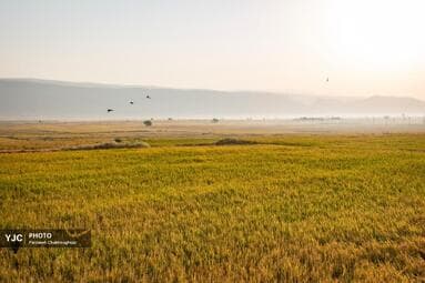 تصویر 2