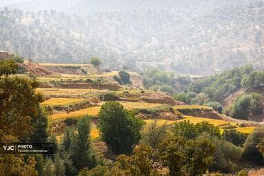 تصویر 3