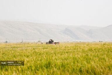 تصویر 7