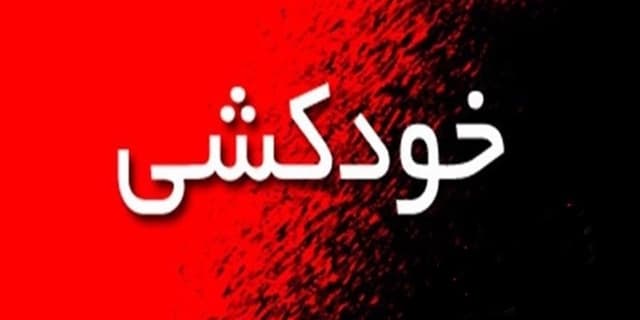 جزئیات شلیک تیرهوایی در حاشیه میدان انقلاب