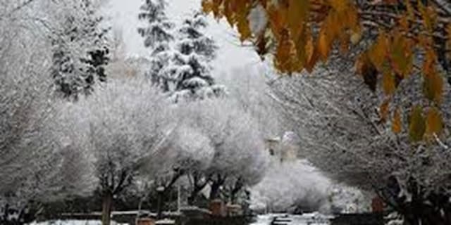 وضعیت جوی کشور تا روز سه‌شنبه نارنجی است