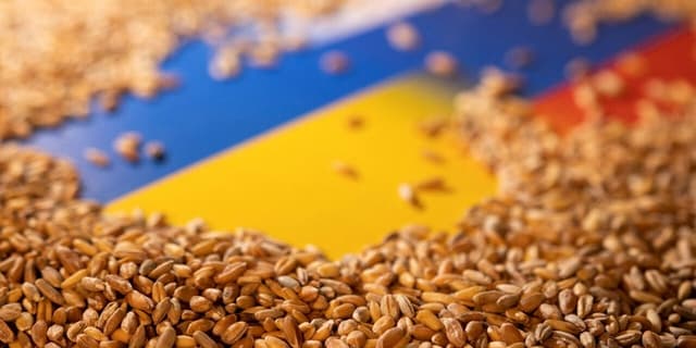 اردوغان از تمدید توافق صادرات غلات اوکراین خبر داد