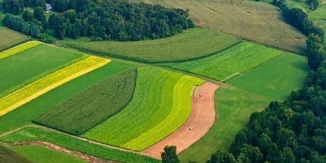 شناسایی ۳۰۰۰ پرونده زمین‌خواری از طریق زیرسامانه پایش اراضی کشور
