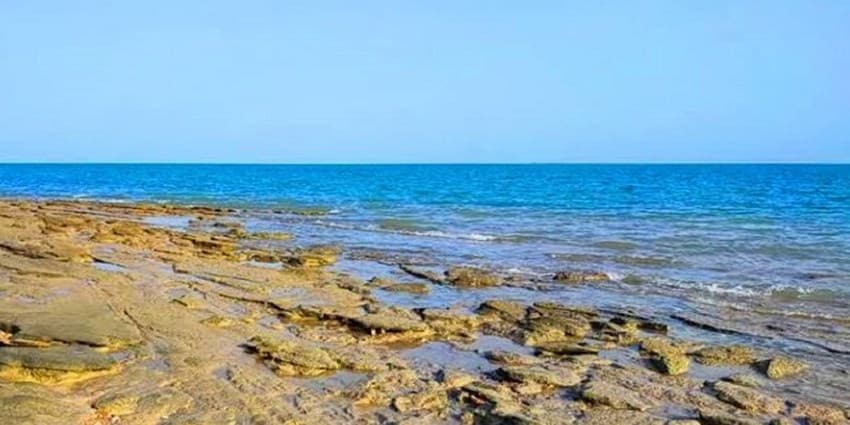 کاهش نسبی دما در شمال کشور