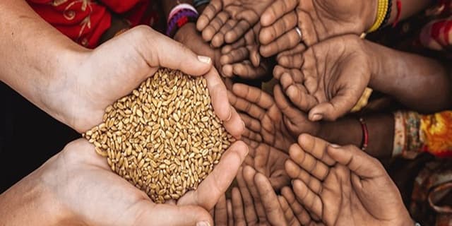 برنامه کشورها برای مقابله با بحران غذایی آینده