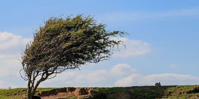 وزش باد شدید در شرق و شمال شرق کشور