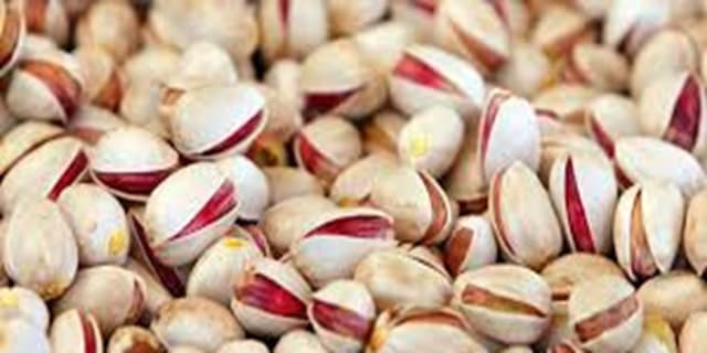 جشنواره پسته قم؛ فرصتی مطلوب برای تقویت سرمایه‌گذاری فعالان اقتصادی است