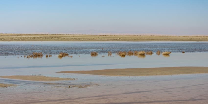طنین صدای پای آب در تالاب گاوخونی