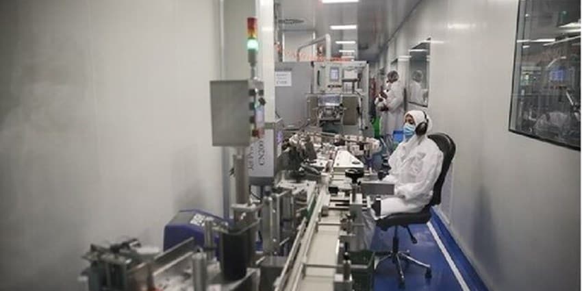 عبور از شرکتهای کوچک به شرکتهای بزرگ بینالمللی، راهکار حل مشکلات دانشبنیانها