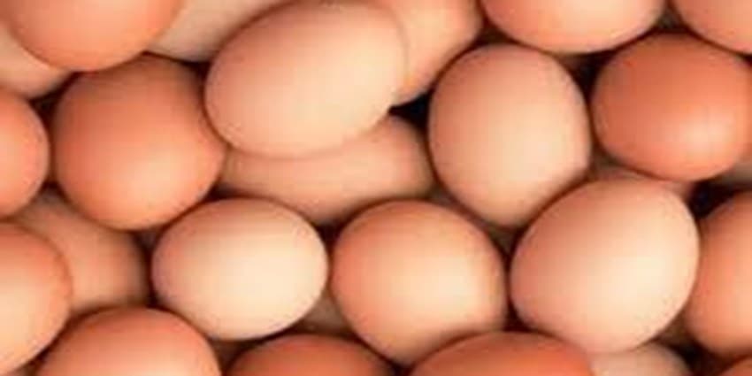 قیمت تخم‌مرغ بسته‌بندی اعلام شد