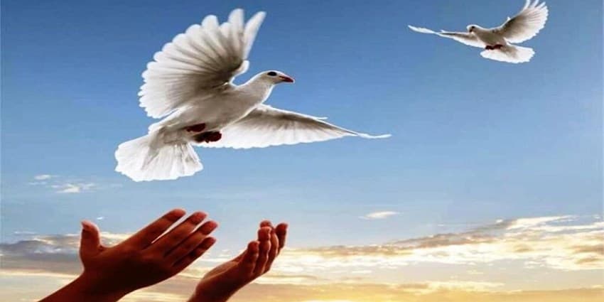 مدیرعامل ستاد دیه همدان: زندانیان زن تا پایان سال آزاد می‌شوند