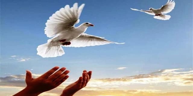 مدیرعامل ستاد دیه همدان: زندانیان زن تا پایان سال آزاد می‌شوند