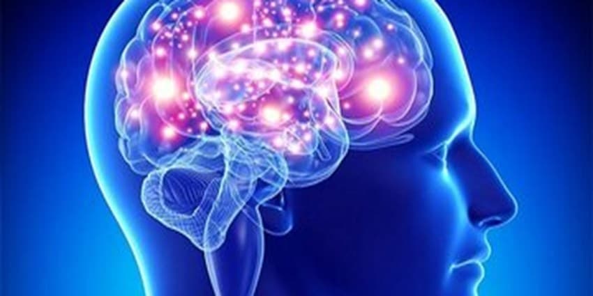 تقویت مغز به کمک این ادویه
