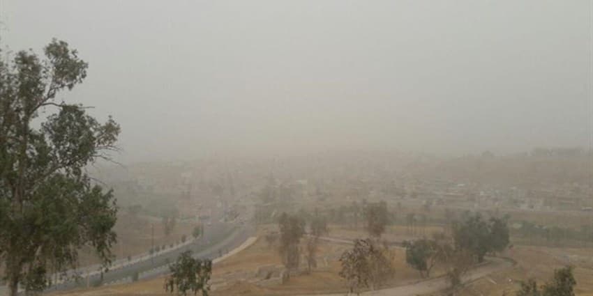 خسارت تندباد به باغات سرپل‌ذهاب