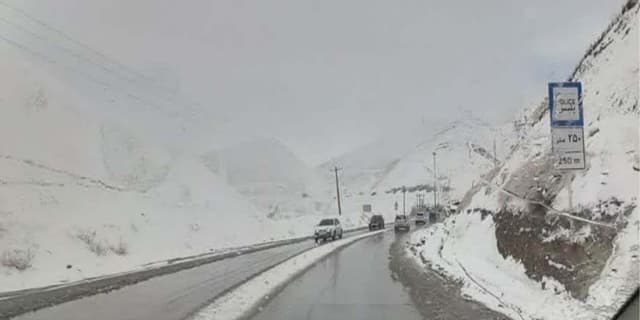 بارش برف در جاده کرج - چالوس/ جاده لغزنده است