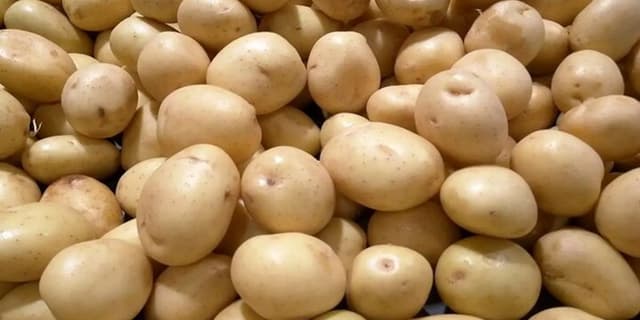 قیمت سیب‌زمینی سر زمین کیلویی ۸ تا ۱۰ هزار تومان/ کمبود تولید نداریم؛ نظارت وجود ندارد