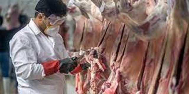استقرار ناظرین بهداشتی در مبدا برای واردات دوباره اجباری شد