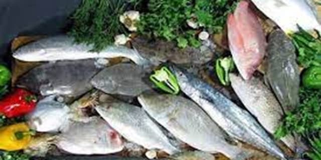 رشد ۲۹۰ درصدی تولیدات بخش شیلات استان مرکزی در دولت سیزدهم