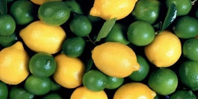 لیموترش جهرم به روسیه صادر شد