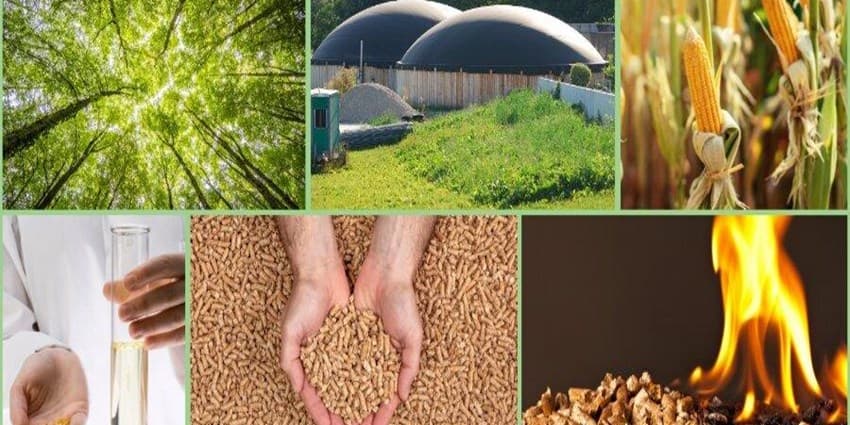 کشور‌هایی با بیشترین میزان تولید سوخت زیستی جهان