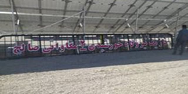 مرغداری که انرژی پاک تولید می کند