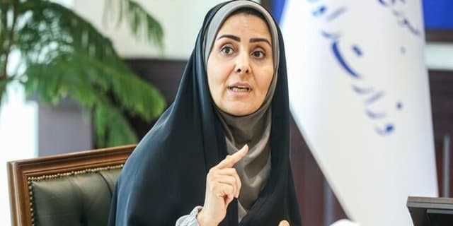 تخصیص زمین به خانواده‌های دارای فرزند سوم در دهه فجر