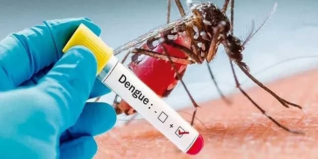ابتلای بیش از هزار نفر به تب دنگی در کشور