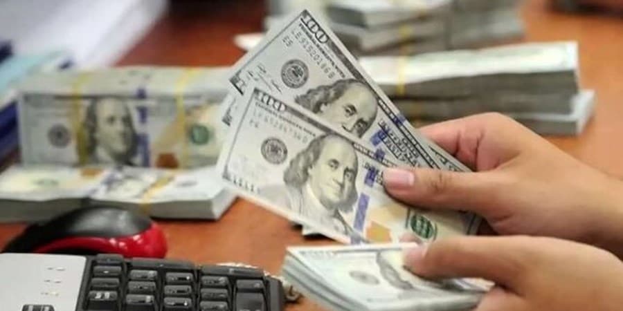 تخصیص و تامین ارز بانک مرکزی برای واردات امسال از ۲۱.۲ میلیارد دلار گذشت