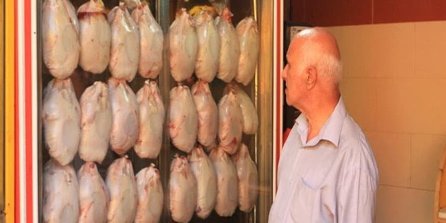 مرغ ۸۶ هزار تومانی به فروشگاه‌ها رسید.
