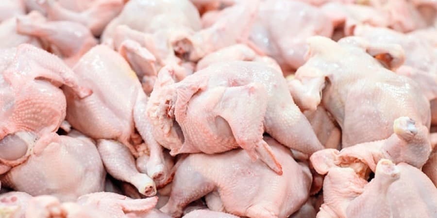 ۴۰ میلیون قطعه مرغ در طرح تولید قراردادی خریداری شد