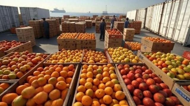 آغاز رزمایش ملی پایش زنجیره کشاورزی/ شبکه نظارت بر آفتکشها و قرنطینه متمرکز میشود