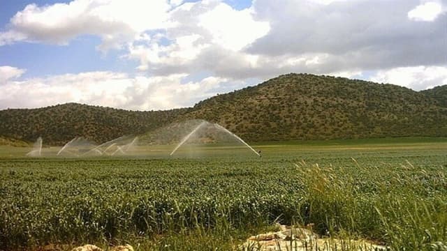 اجرای سامانههای نوین آبیاری در سطح ۳ میلیون و ۲۵۰ هزار هکتار