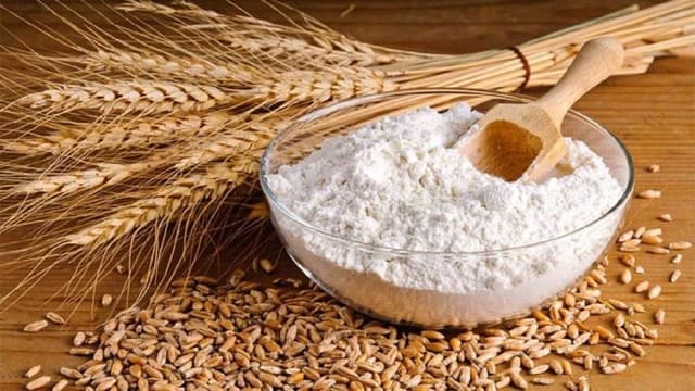 سالانه ۲۰ میلیون تن غلات وارد میشود