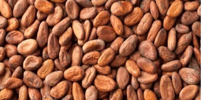 گرانی بی سابقه کاکائو در بازار جهانی