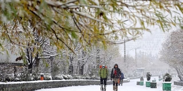 برف و باران امروز در غرب و مرکز کشور/ دمای اغلب استانها تا آخر هفته بیشتر میشود