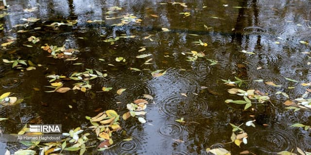 هشدار سرمازدگی تا ۲ روز آینده در استان همدان