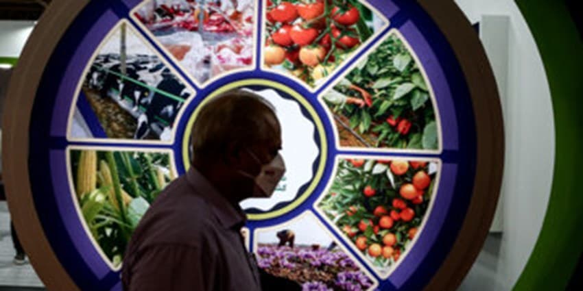 استقبال خارجیها از نمایشگاه توانمندیهای صادراتی ایران