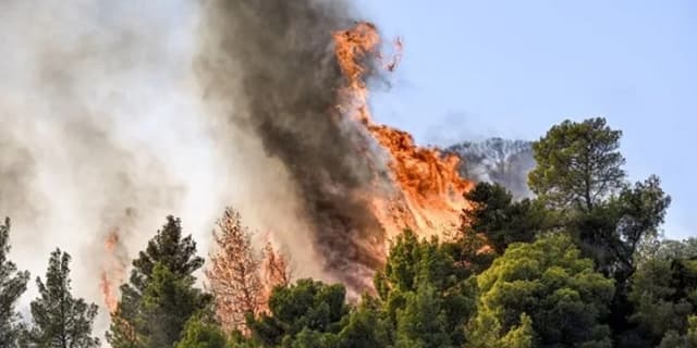 آتشسوزی ۵۰ هکتار از مراتع سربیژن جیرفت مهار شد