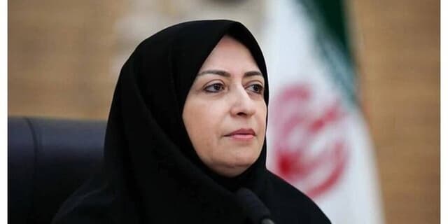 شینا انصاری رئیس سازمان حفاظت محیط زیست شد