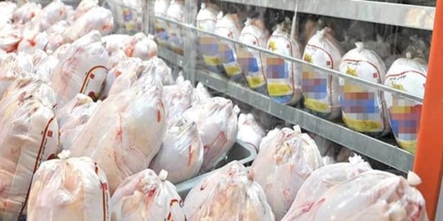 تقویت زیرساخت های صادرات گوشت مرغ در خوزستان
