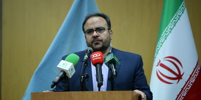 ممنوعیت صید کوسهماهیان در خلیج فارس و دریای عمان